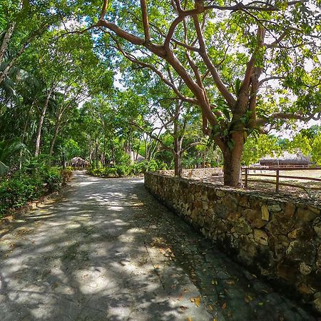 The Mayan Garden Orange Walk Екстериор снимка