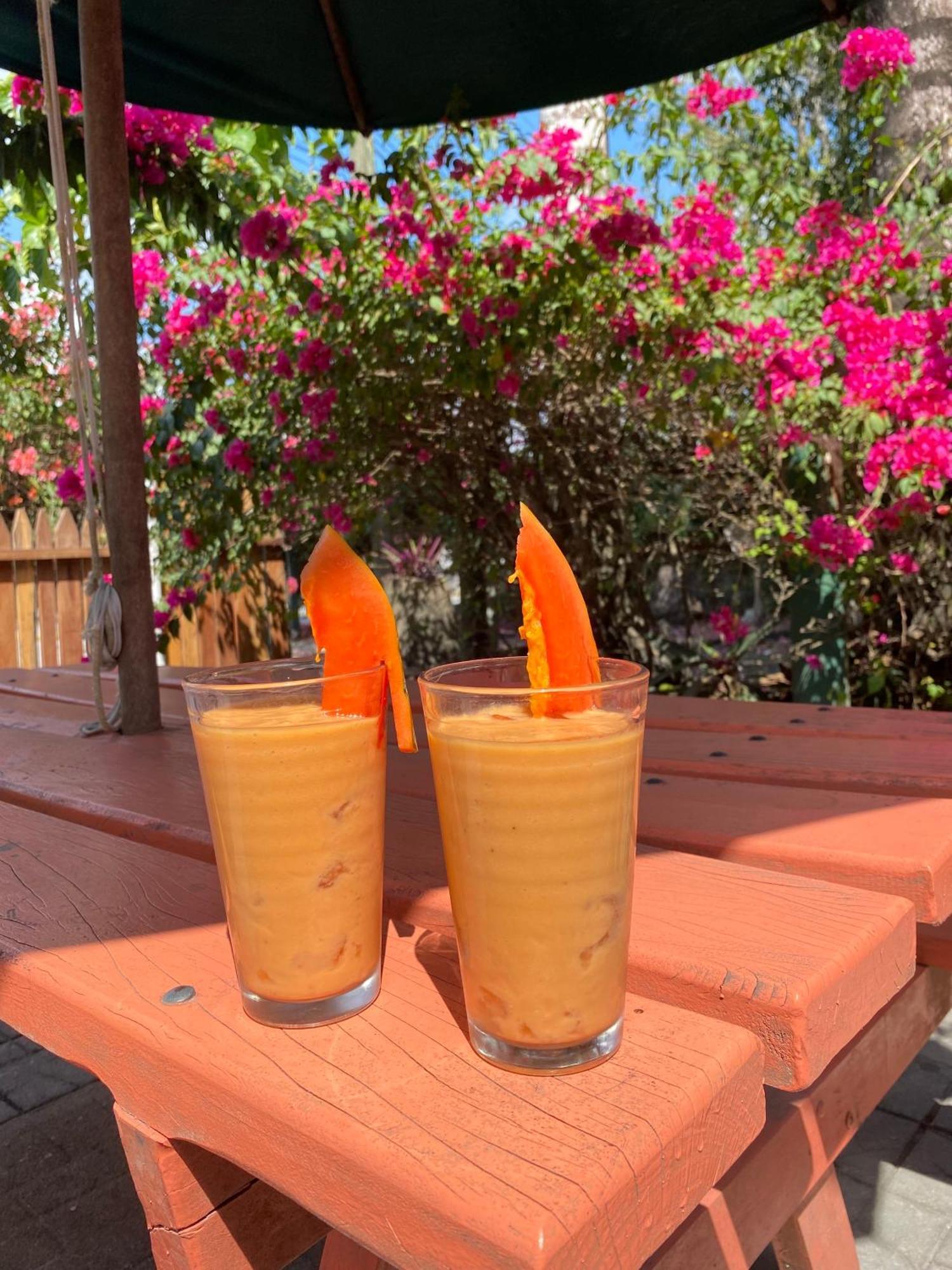 The Mayan Garden Orange Walk Екстериор снимка